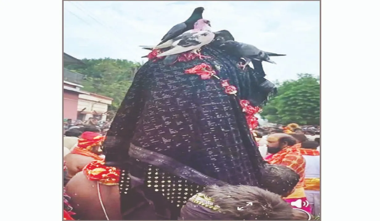  ମା’ ମାଣିକେଶ୍ୱରୀଙ୍କ ପ୍ରସିଦ୍ଧ ଛତରଯାତ୍ରା ସମ୍ପନ୍ନ: ଲକ୍ଷାଧିକ ଭକ୍ତଙ୍କ ସମାଗମ