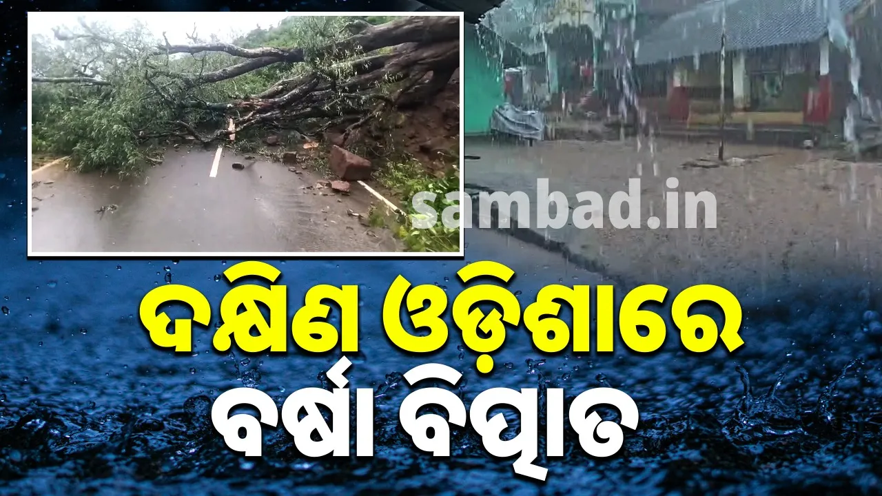  ଦକ୍ଷିଣ ଓଡ଼ିଶାରେ ପ୍ରବଳ ବର୍ଷା: ଉପୁଡ଼ିଲା ବିଶାଳ ଗଛ, ଜନଜୀବନ ପ୍ରଭାବିତ