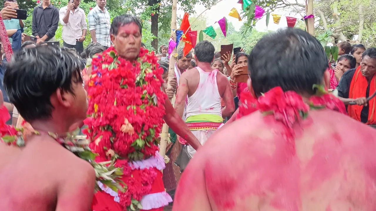  ବୁଢ଼ୀବାହାଲରେ ବଏଲ୍ ଯାତ୍ରା
