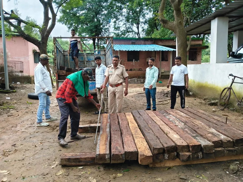  ବିନିକାରେ ୬୬ ହଜାର ଟଙ୍କାର କାଠ ଜବତ