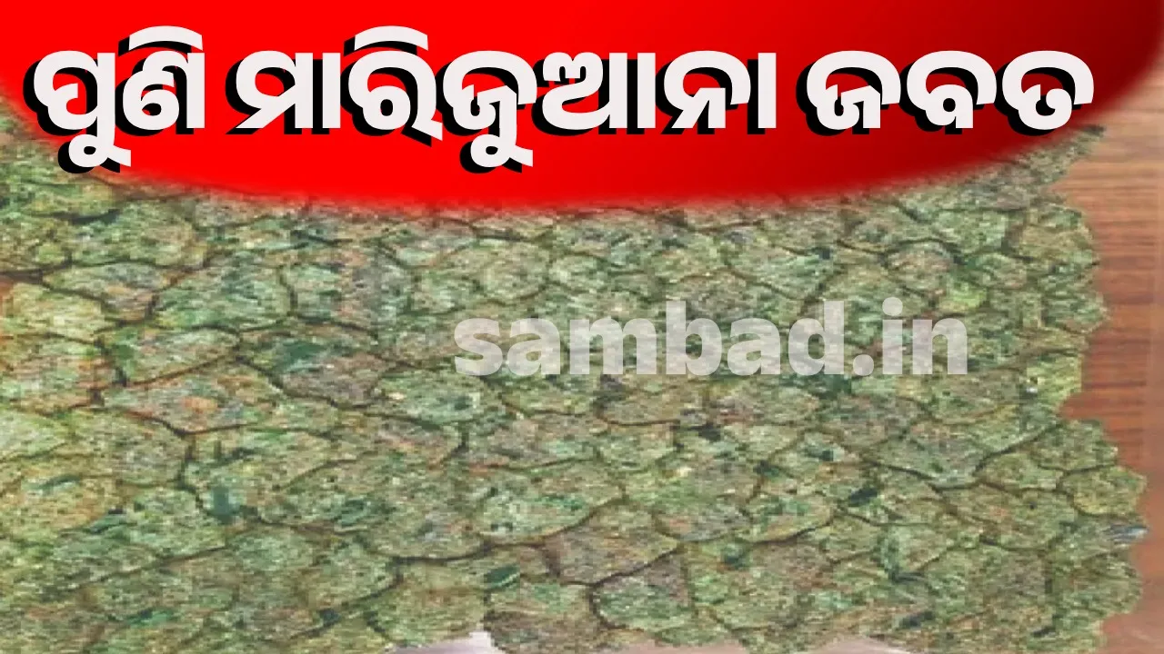  ଭୁବନେଶ୍ୱରରେ ପୁଣି ୩ କୋଟି ଟଙ୍କାର ମାରିଜୁଆନା ଜବତ, ଜଣେ ଗିରଫ