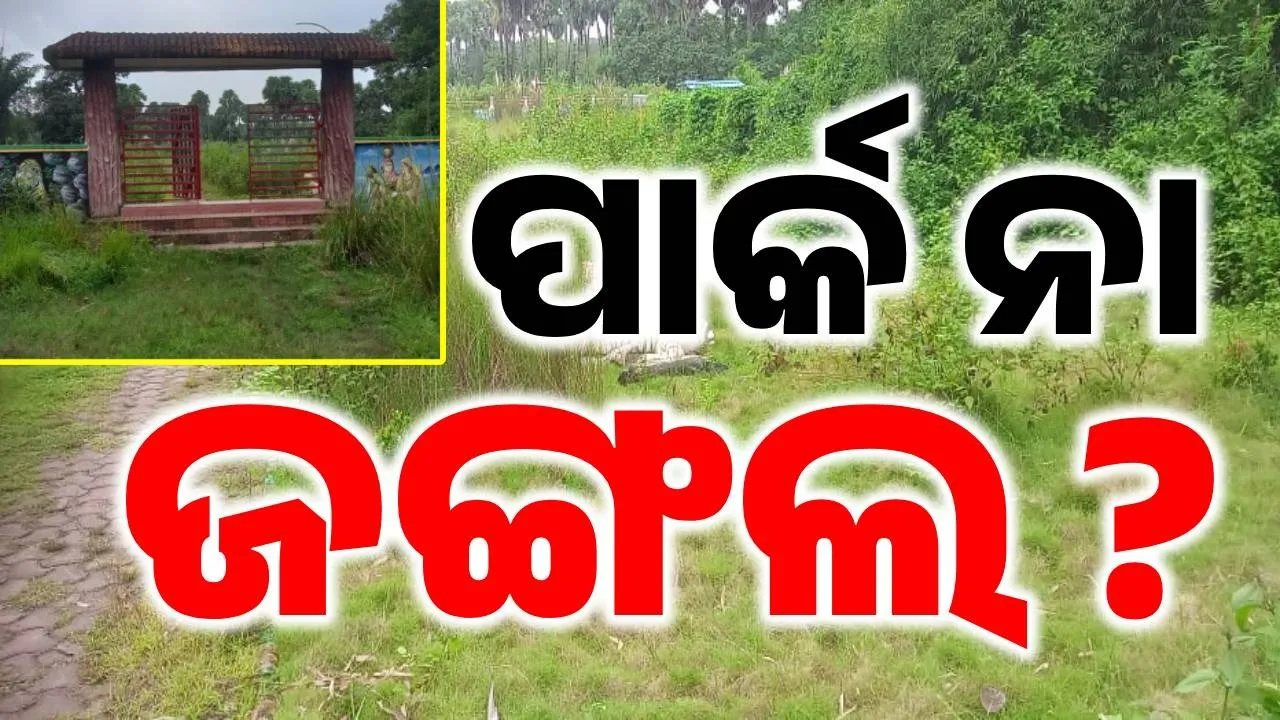  ପରିତ୍ୟକ୍ତ ଅବସ୍ଥାରେ ପାର୍କ: ରକ୍ଷଣାବେକ୍ଷଣ ଅଭାବରୁ ଉଠିଲାଣି ଅନାବନା ଗଛ, ପାଲଟି ଗଲାଣି ଜଙ୍ଗଲ