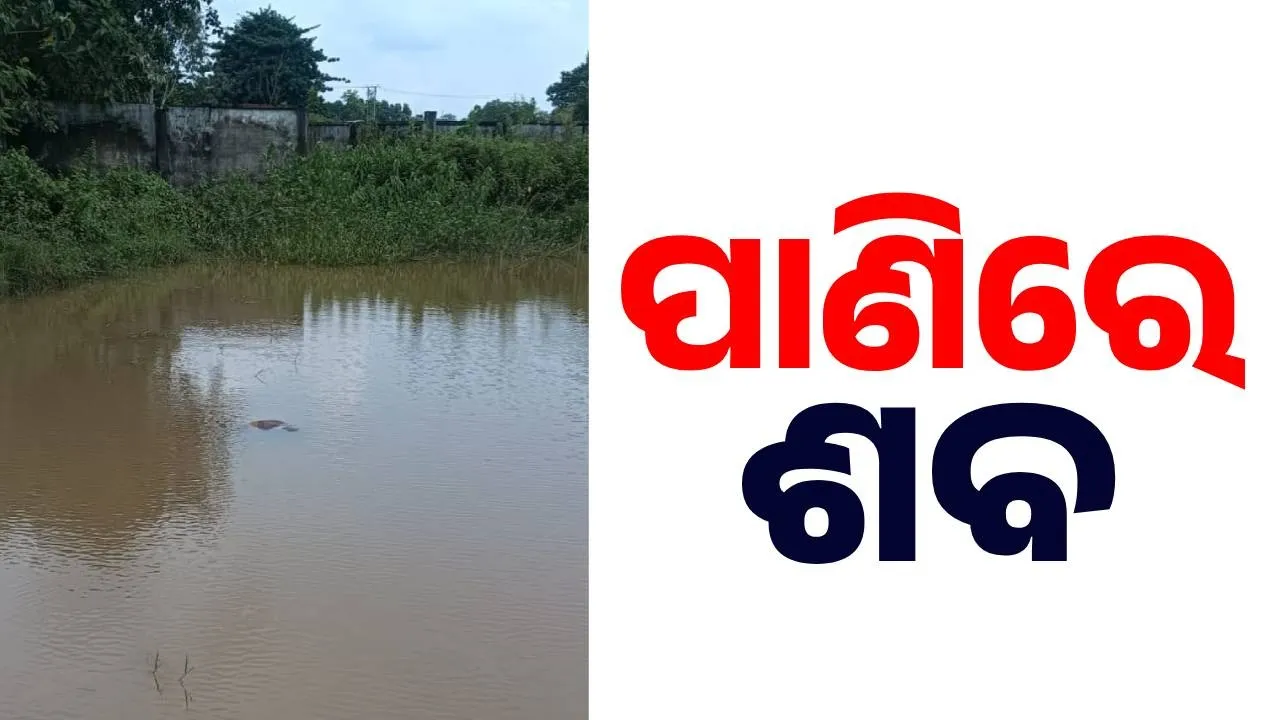  ଜାତୀୟ ରାଜପଥ ପାର୍ଶ୍ୱ ଜଳାଶୟରୁ ବୃଦ୍ଧାଙ୍କ ମୃତଦେହ ଉଦ୍ଧାର