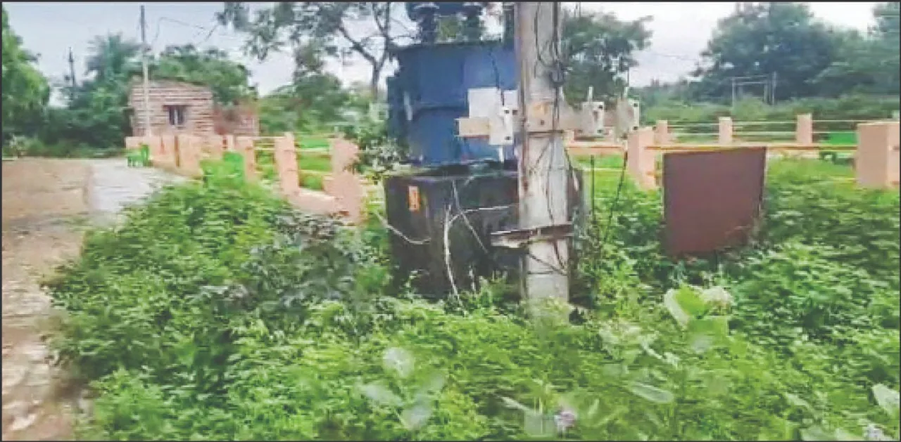  ଅନାବନା ଗଛରେ ଭର୍ତ୍ତି ଆନନ୍ଦ ପାର୍କ: ଲକ୍ଷାଧିକ ଟଙ୍କାର ଭିତ୍ତିଭୂମିର ରକ୍ଷଣାବେକ୍ଷଣ ନାହିଁ