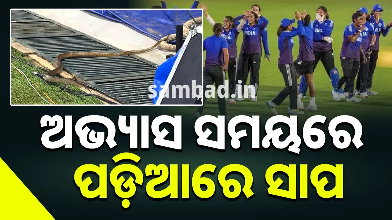  Snake enters field looking for mouse during Indian women's team's practice 