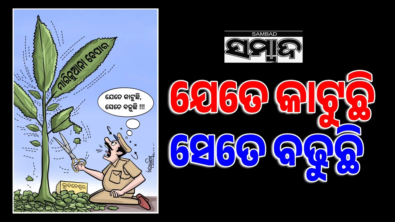  ବେପାରୀ ମାଲେମାଲ୍‌, ପ୍ରଶାସନ୍‌ ଫେଲ୍‌