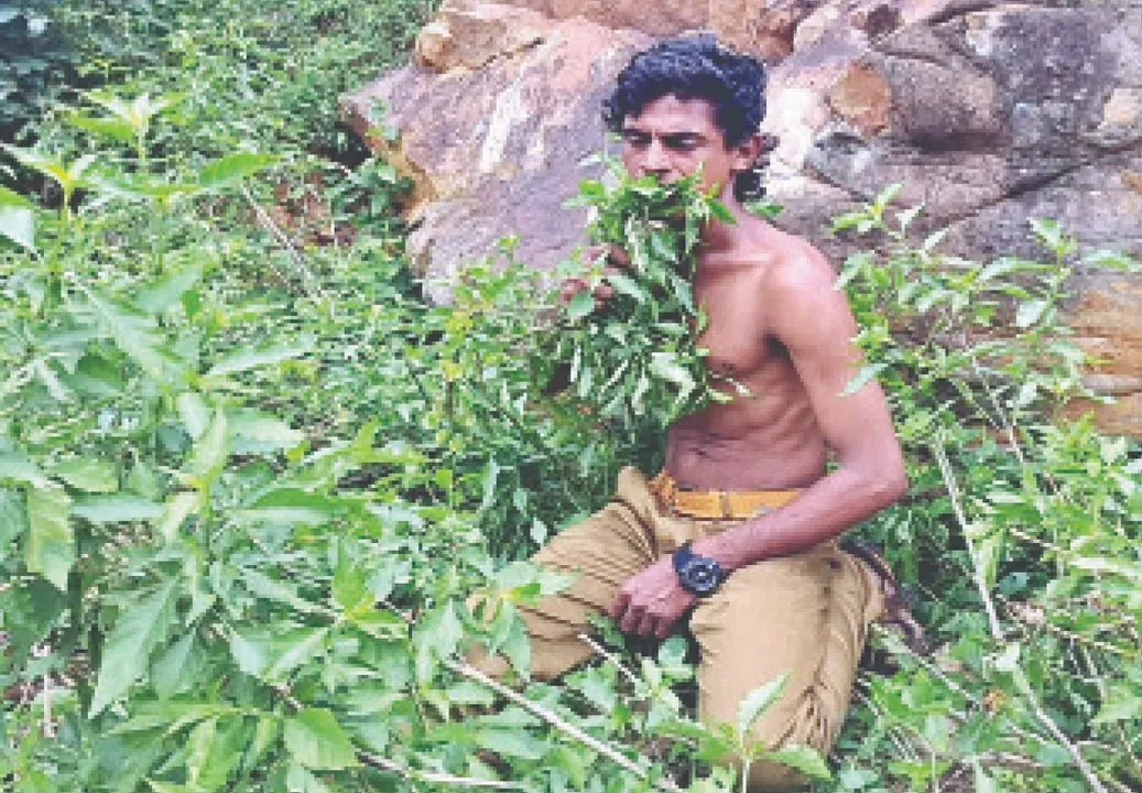  ଜୀବନ ଜିନ୍ଦାବାଦ୍‌: ପତ୍ରମାନବ ବୁଦନ୍‌