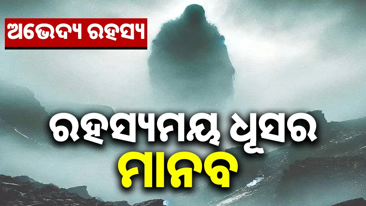  ଅଭେଦ୍ୟ ରହସ୍ୟ: ରହସ୍ୟମୟ ଧୂସର ମାନବ