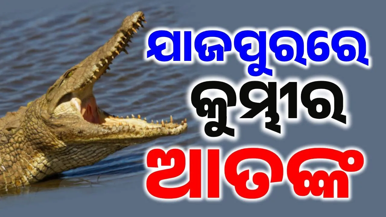  କୁମ୍ଭୀର ଆତଙ୍କରେ ଆତଙ୍କିତ ଯାଜପୁର: କେଉଁଠି ମହିଳାଙ୍କୁ ଟାଣିନେଲା ତ କେଉଁଠି ଭାସୁଥିବାର ଦେଖିଲେ ଲୋକେ…
