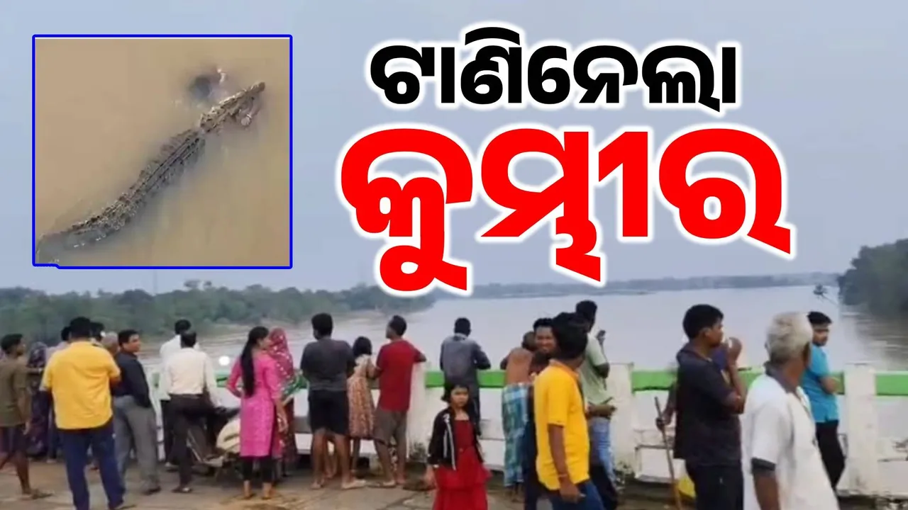  କୁମ୍ଭୀର ଆତଙ୍କ: ନଦୀକୂଳରୁ ମହିଳାଙ୍କୁ ଝାମ୍ପିନେଲା କୁମ୍ଭୀର, ଏଯାଏଁ ମିଳୁନି ପତ୍ତା…