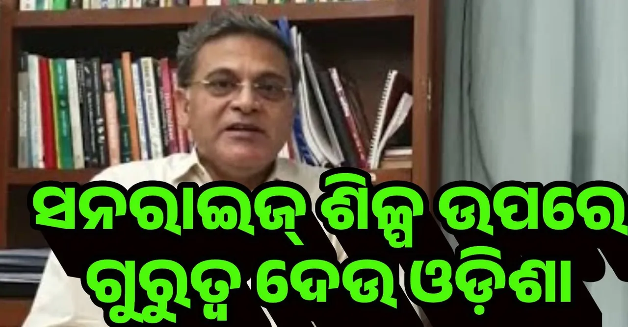  ସନରାଇଜ୍ ଶିଳ୍ପ ଉପରେ ଗୁରୁତ୍ବ ଦେଉ ଓଡ଼ିଶା : ପ୍ରଫସର ଗର୍ଗ