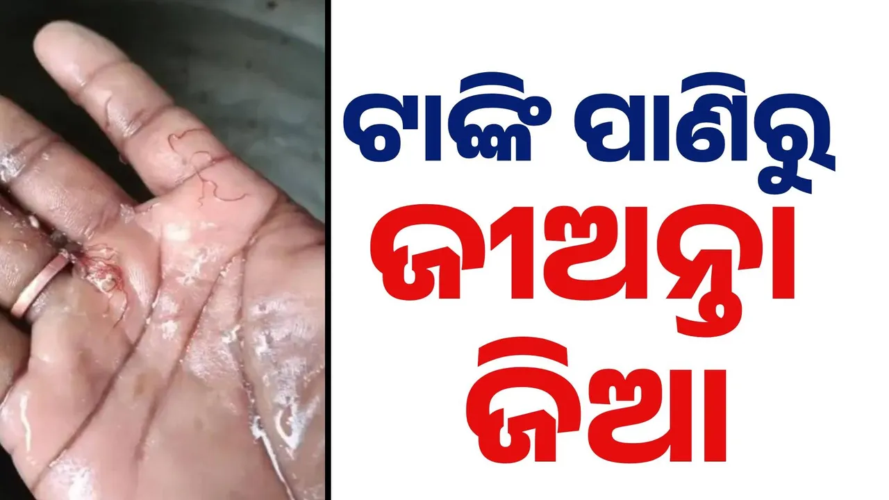  ବସୁଧା ପାଣି ଟାଙ୍କିରୁ ବାହାରୁଛି ଗୋଳିଆ ପାଣି ସହ ଜୀଅନ୍ତା ଜିଆ... ରୋଗରେ ଆକ୍ରାନ୍ତ ଲୋକେ