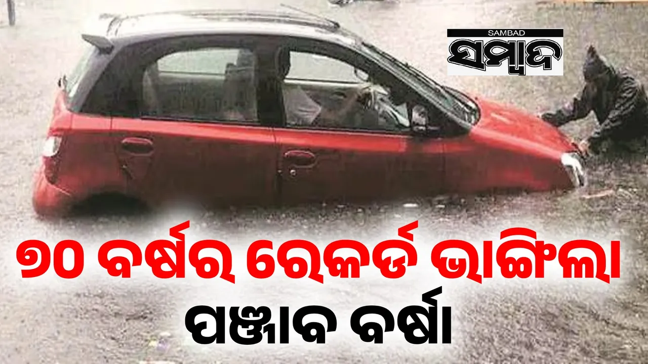  ପଞ୍ଜାବରେ ୭୦ ବର୍ଷର ରେକର୍ଡ ଭାଙ୍ଗିଲା ବର୍ଷା ; ଚାଷୀଙ୍କ ଫସଲ ନଷ୍ଟ କଲା