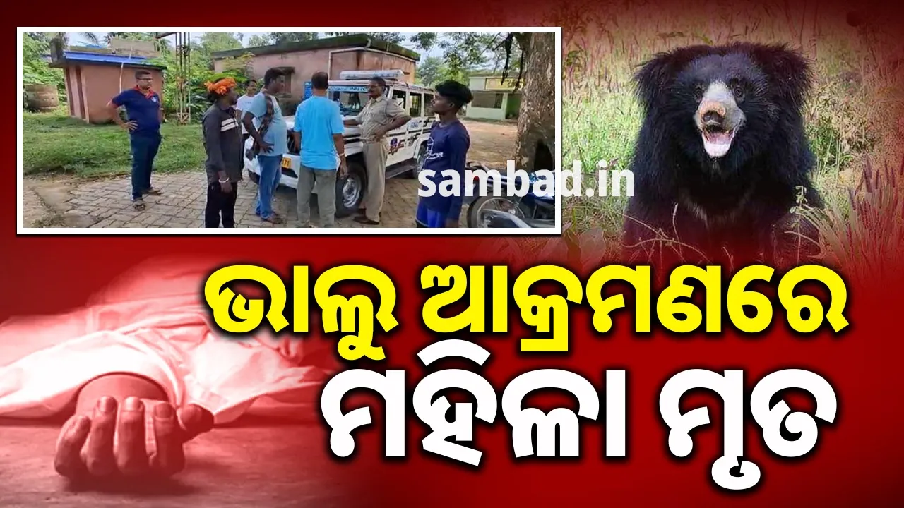  ଭାଲୁ ଆକ୍ରମଣରେ ଚାଲିଗଲା ସ୍ତ୍ରୀଙ୍କ ଜୀବନ, ଅଳ୍ପକେ ବର୍ତ୍ତିଲେ ସ୍ବାମୀ