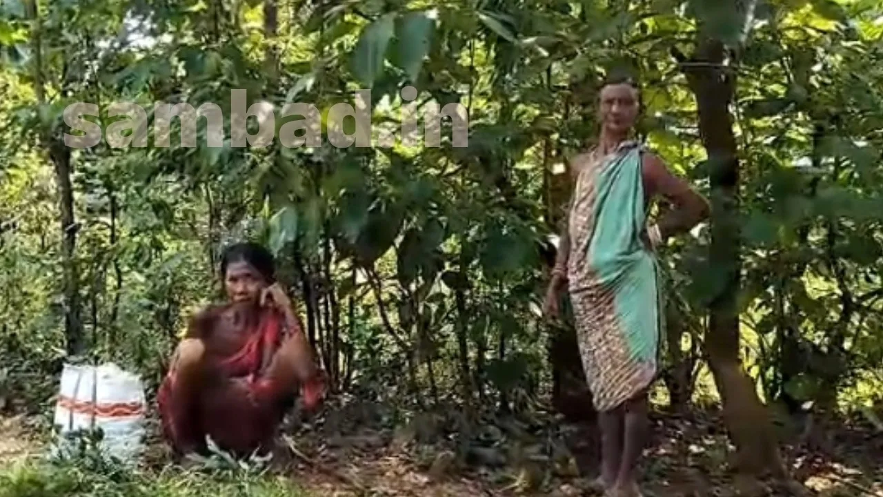  ଦୁର୍ଗମ ଅଂଚଳକୁ ପହଞ୍ଚିପାରୁନି ଆମ୍ବୁଲାନ୍‌ସ, ରୋଗୀ ହନ୍ତସନ୍ତ
