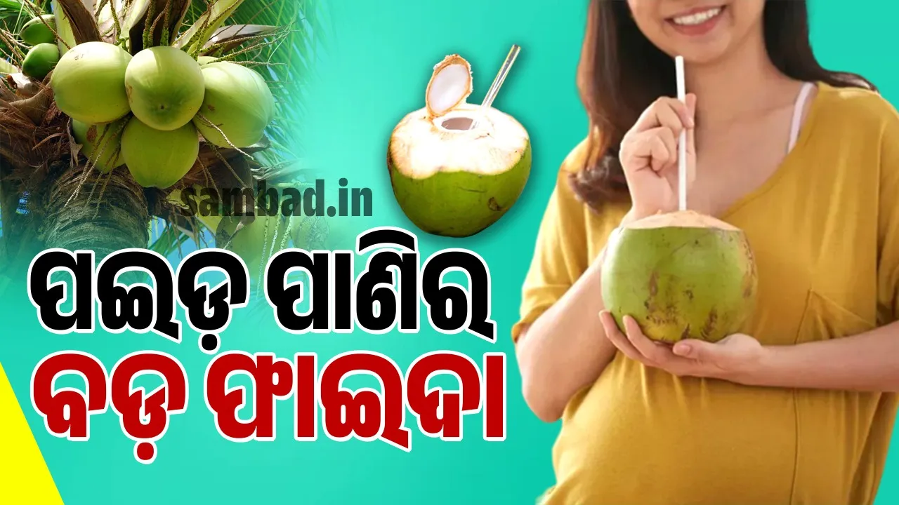  ସକାଳୁ ସକାଳୁ ପଇଡ଼ ପାଣି ପିଇଲେ ମିଳେ କେଉଁ ଫାଇଦା ? ଜାଣନ୍ତୁ ପଇଡ଼ ପାଣିର ଚମତ୍କାରିତା…