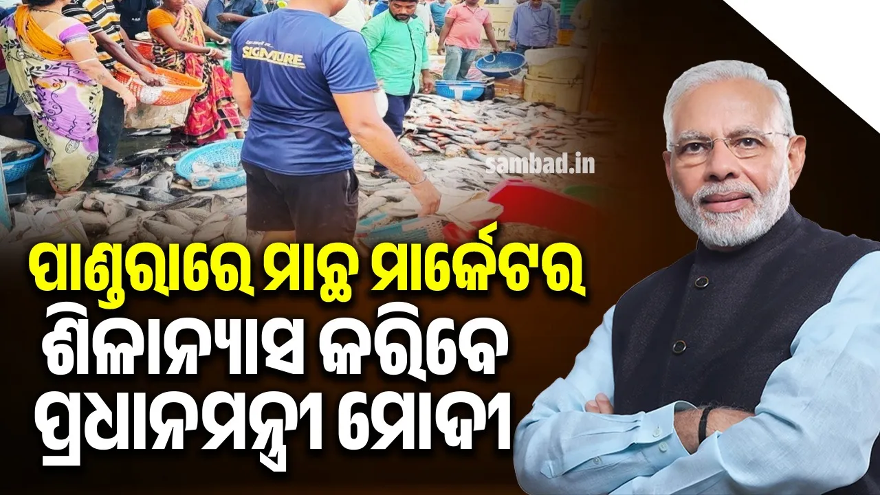  ପାଣ୍ଡରାଠାରେ ହେବ ବୃହତ ମାଛ ମାର୍କେଟ: ଆସନ୍ତାକାଲି ଶିଳାନ୍ୟାସ କରିବେ ପ୍ରଧାନମନ୍ତ୍ରୀ ନରେନ୍ଦ୍ର ମୋଦୀ