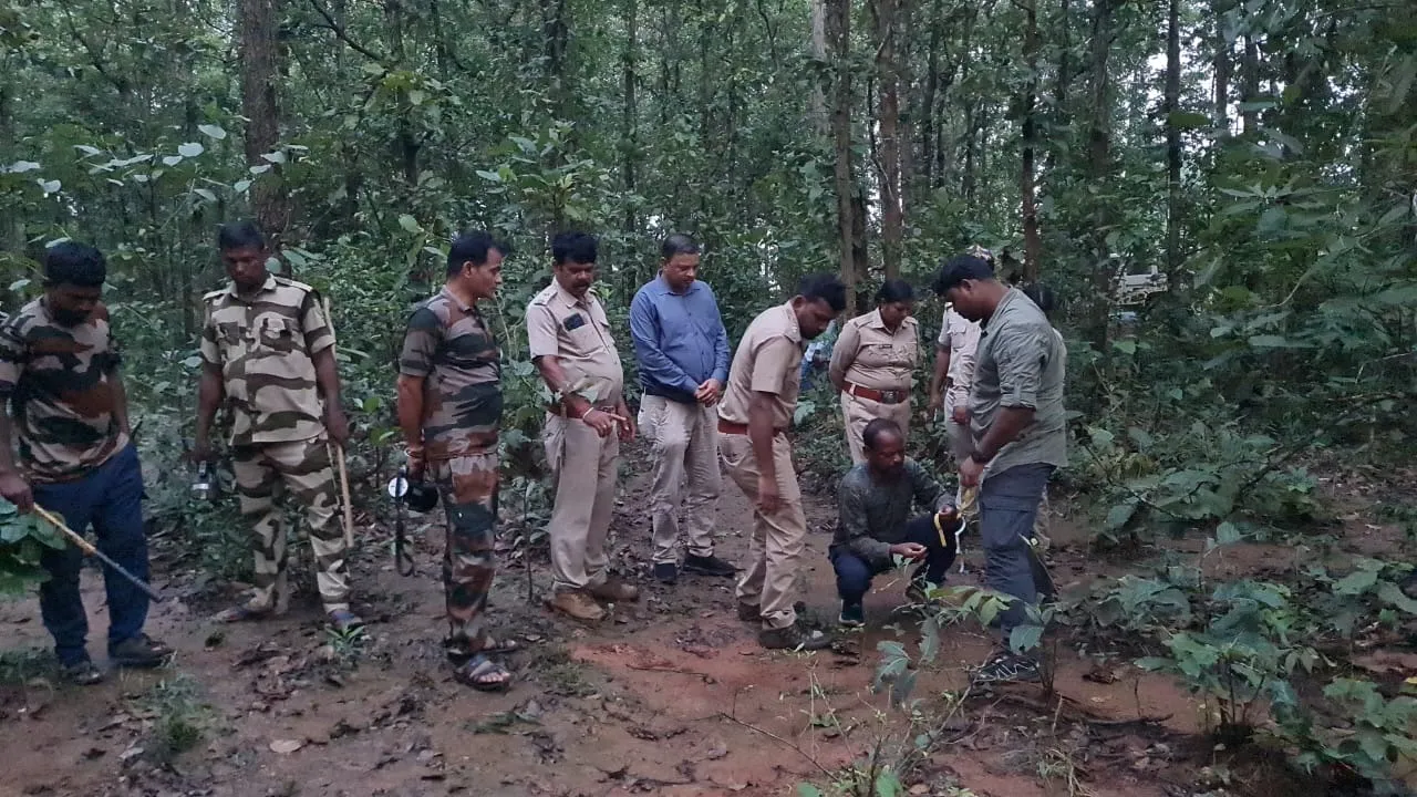 କାମାକ୍ଷାନଗର-କଙ୍କଡ଼ାହାଡ଼ ରାସ୍ତାରେ ବାଘ! ରାସ୍ତା ପାର ହେଉଥିବା ଦେଖିଲେ ଲୋକେ