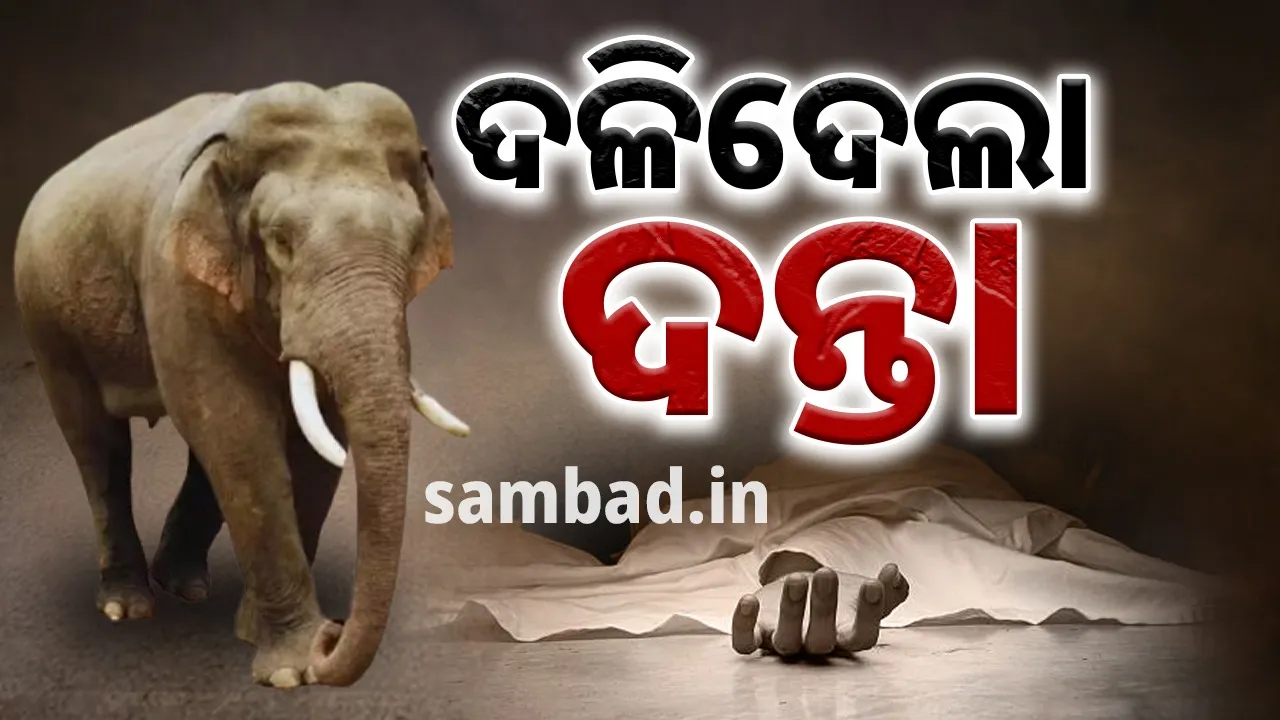  Elderly man dies in tusked elephant attack 