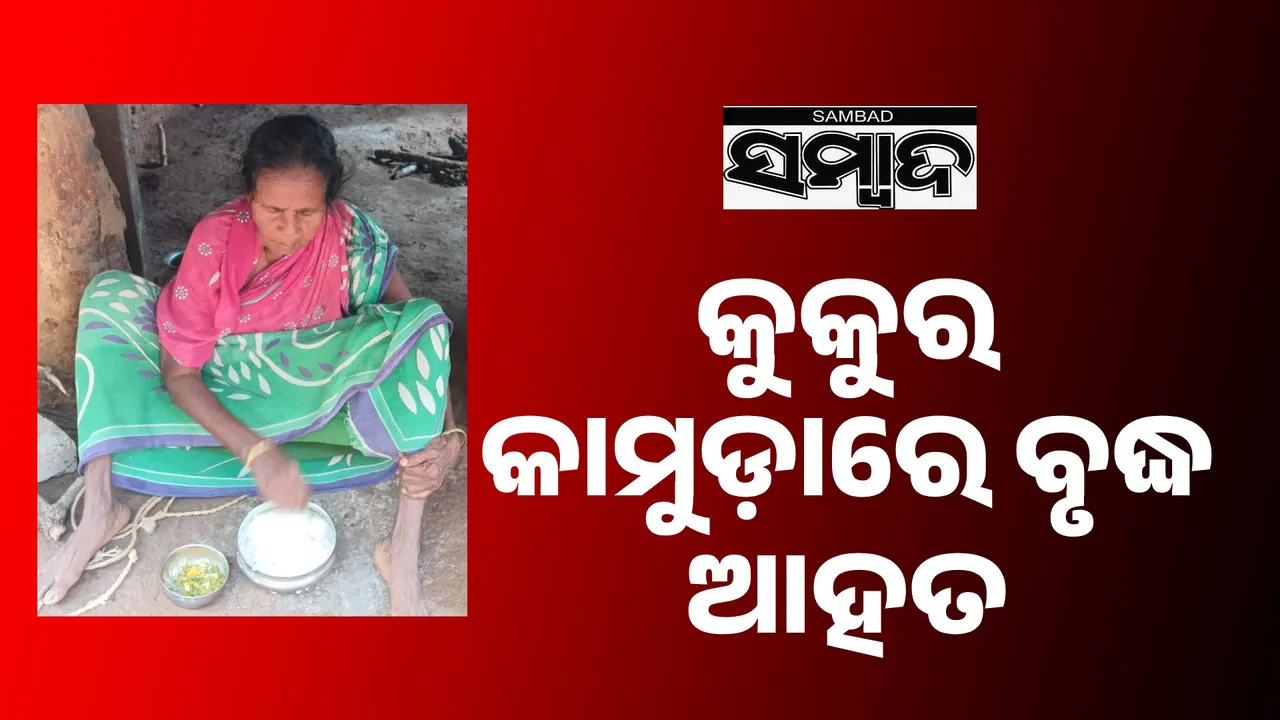  କୁକୁର କାମୁଡ଼ାରେ ବୃଦ୍ଧ ଗୁରୁତର