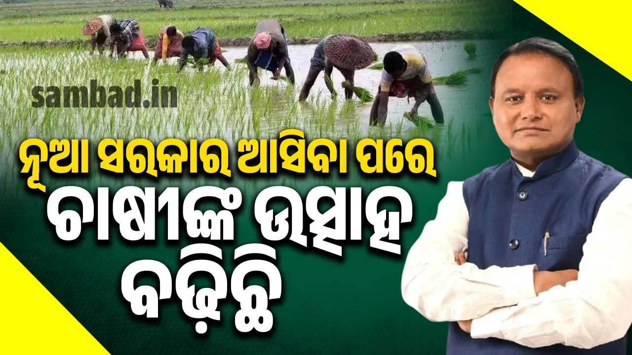  ୨୦୨୭ ସୁଦ୍ଧା ୫୯ କୋଟି ୧୩ ଲକ୍ଷ ଟଙ୍କା ବିନିଯୋଗରେ ପାଣ୍ଡରାଠାରେ ମାଛ ମାର୍କେଟ କାର୍ଯ୍ୟକ୍ଷମ ହେବ : ମୁଖ୍ୟମନ୍ତ୍ରୀ