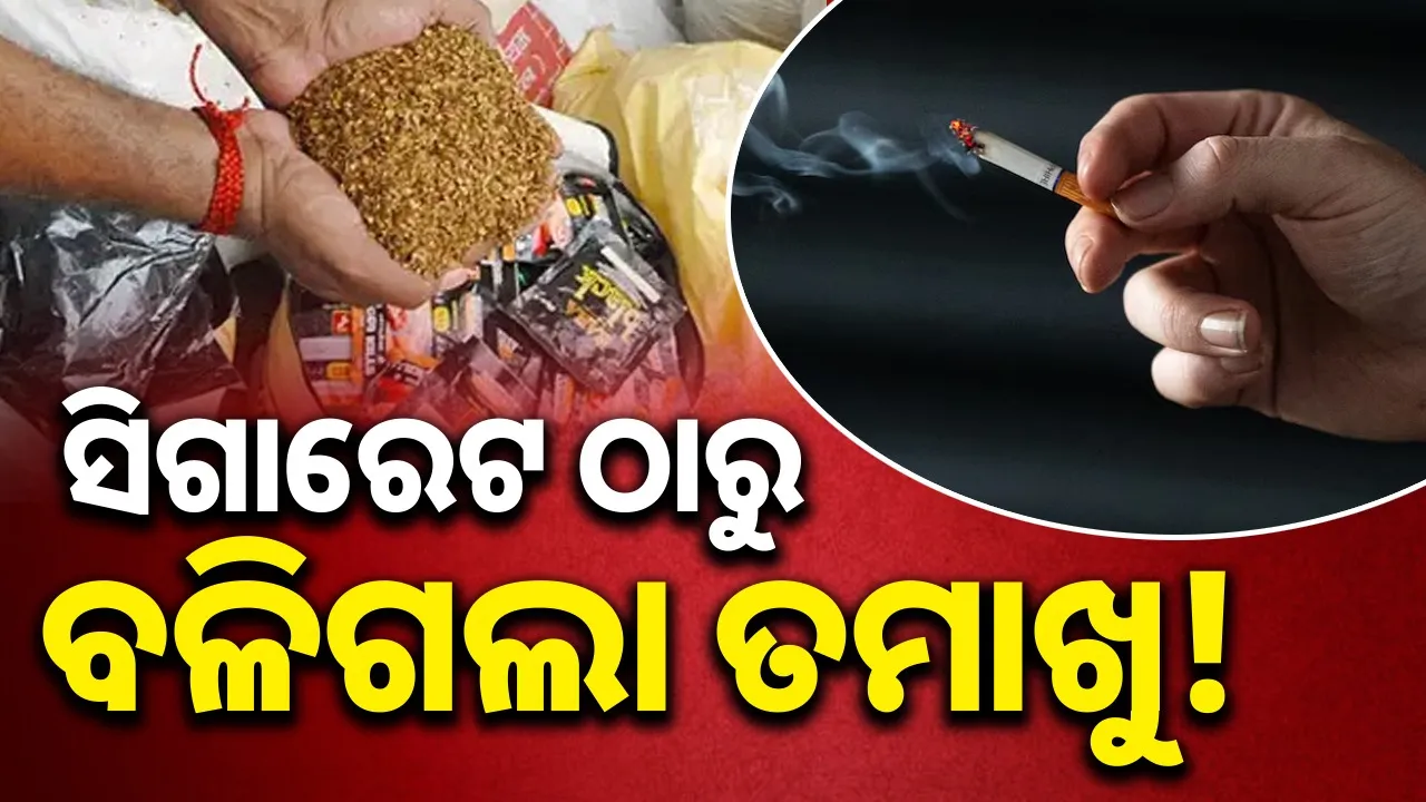  ସାମ୍ନାକୁ ଆସିଲା ସିଗାରେଟ୍ ଓ ତମାଖୁକୁ ନେଇ ହୋଇଥିବା ଗବେଷଣା ରିପୋର୍ଟ