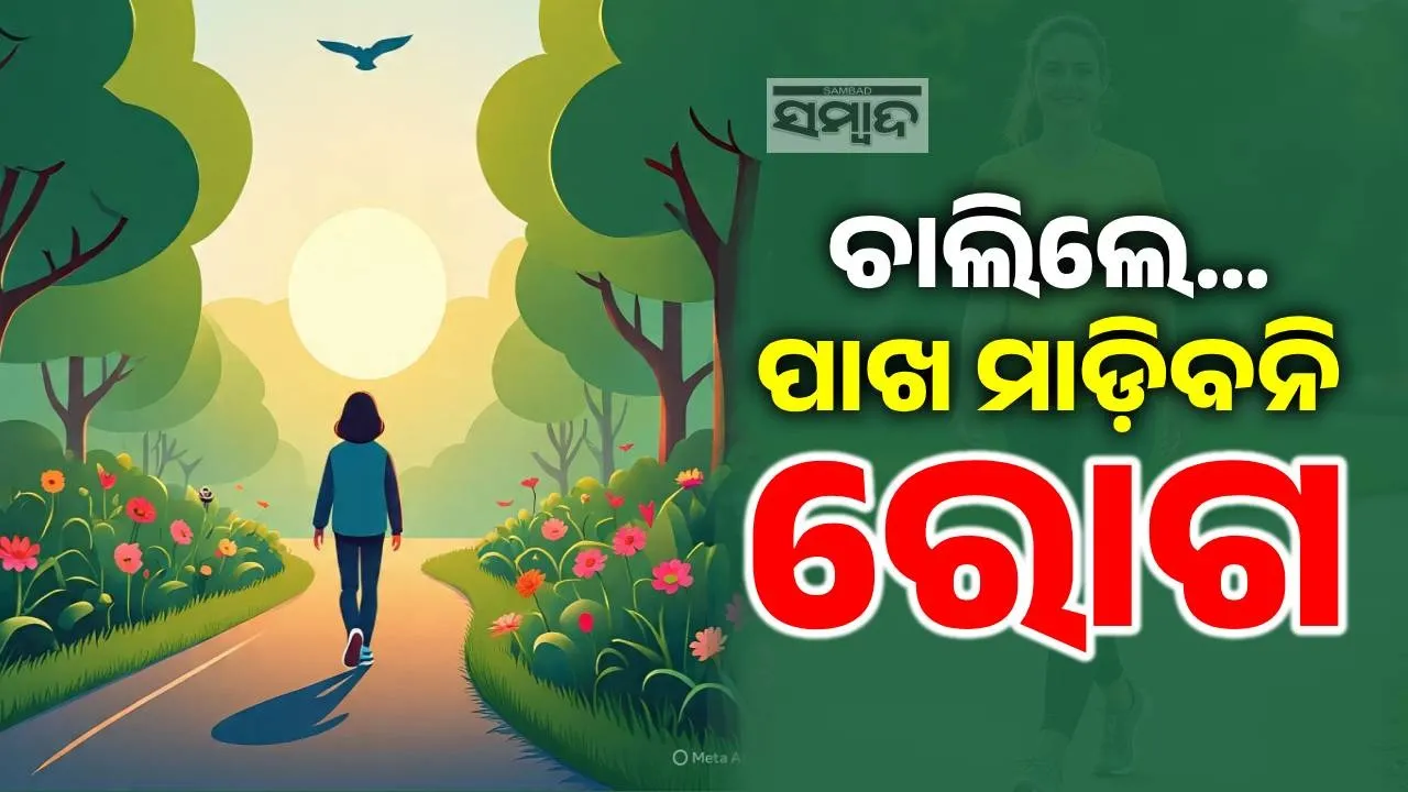  ଦୈନିକ ୩୦ ମିନିଟ୍ ଚାଲନ୍ତୁ, ଚମତ୍କାର ଦେଖନ୍ତୁ ! ଜାଣନ୍ତୁ ଅଧଘଣ୍ଟା ଚାଲିବାର ଲାଭ କଣ ?