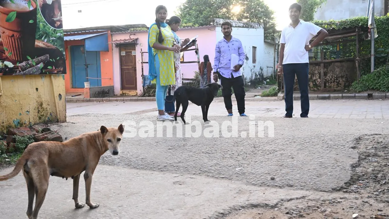  Order To Teacher: ବୁଲା କୁକୁରଙ୍କ ଉପରେ ନଜର ରଖିବେ ଶିକ୍ଷକ! ଅଜବ ନିର୍ଦ୍ଦେଶନାମାକୁ ଜୋରଦାର ଚର୍ଚ୍ଚା