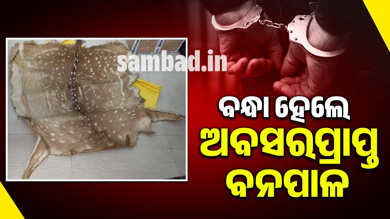  ହରିଣ ଛାଲ ଓ ମୟୂର ପୁଚ୍ଛ ଜବତ, ଅବସରପ୍ରାପ୍ତ ବନପାଳ ଗିରଫ
