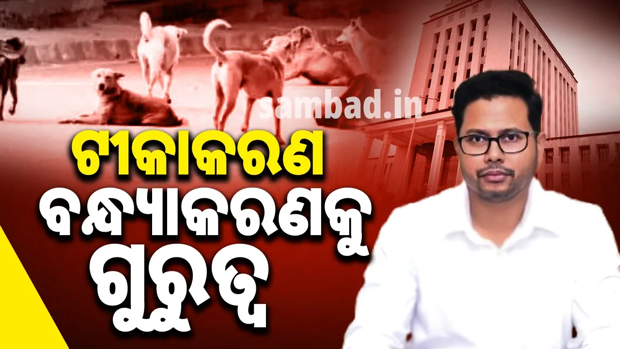  କୁକୁରଙ୍କ ପାଇଁ ଟୀକାକରଣ ଏବଂ ବନ୍ଧ୍ୟାକରଣକୁ ଗୁରୁତ୍ବ ଦିଆଯିବ: ବିଏମ୍‌ସି