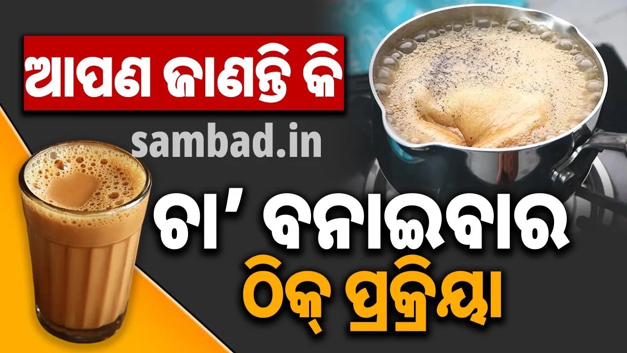  ଚା’ ପିଇବାକୁ କାହାକୁ ବା ଭଲ ନଲାଗେ! ଆପଣ ଜାଣନ୍ତି କି ଚା’ ବନାଇବାର ସଠିକ୍‌ ପ୍ରକ୍ରିୟା?