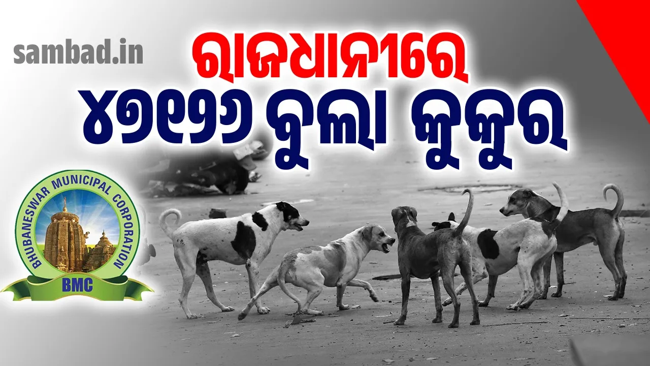  ଭୁବନେଶ୍ୱର ମହାନଗର ନିଗମ ଅଞ୍ଚଳରେ ୪୭୧୨୬ ବୁଲା କୁକୁର