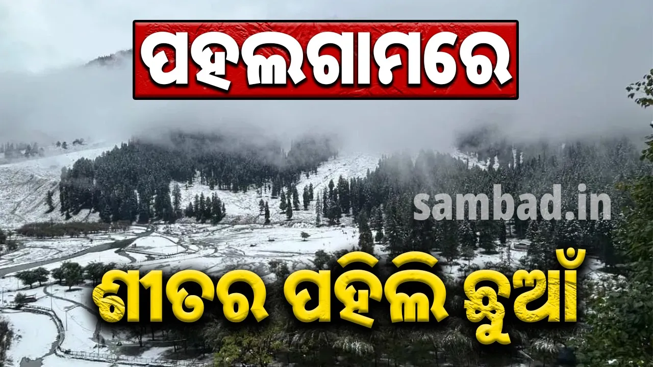  ଦିନେ ଯେଉଁଠି ପଡ଼ିଥିଲା ରକ୍ତର ଛିଟା, ଆଜି ବରଫର ପହିଲି ଛୁଆଁ: ଶୀତ ଗାଉଛି ଗୀତ, ପ୍ରେମରେ ପଡ଼ିଛି ପାଇନ ଗଛ…