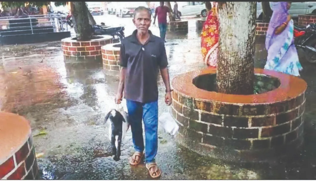  ଜିଲ୍ଲାପାଳଙ୍କ ଜନଶୁଣାଣିରେ ଛେଳିଛୁଆ