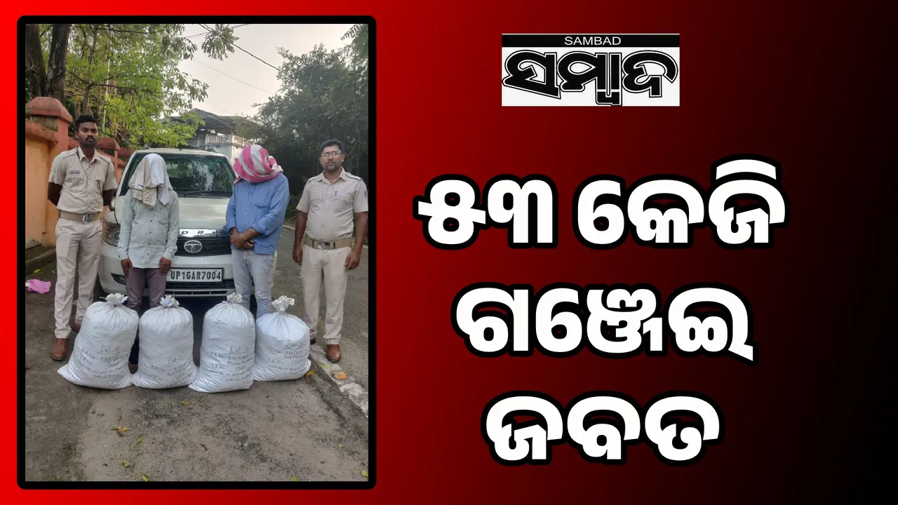  ରାଜ୍ୟ ବାହାରକୁ ଚାଲାଣ ହେଉଥିଲା ଗଞ୍ଜେଇ: ମାଡ଼ି ବସିଲା ଅବକାରୀ ବିଭାଗ, ୨ ଗିରଫ
