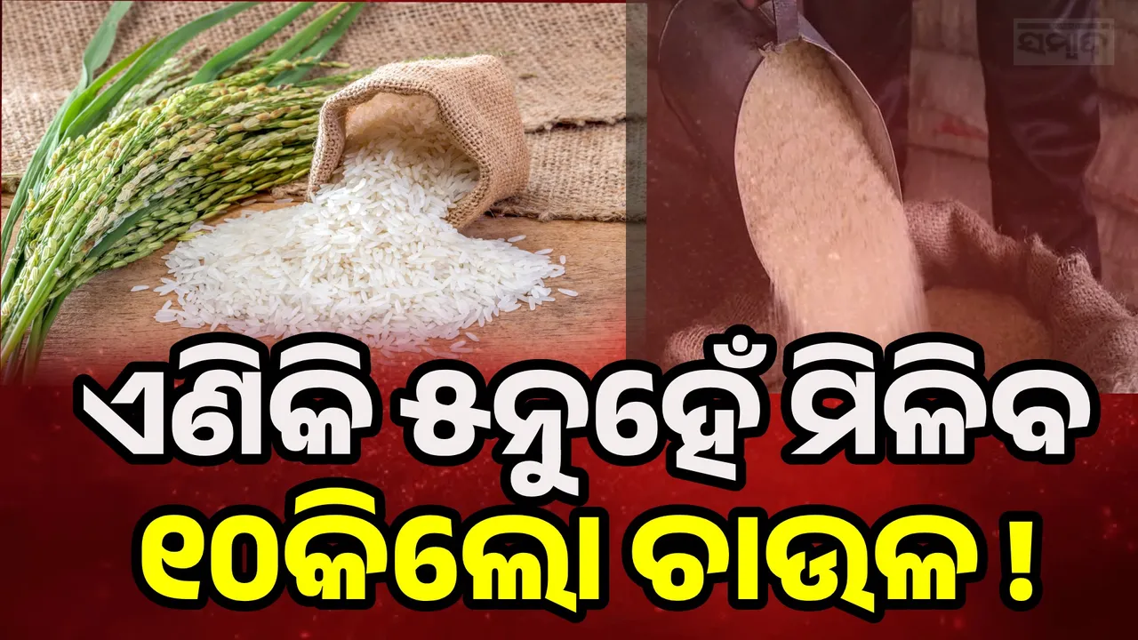  ରାସନ କାର୍ଡ ହିତାଧିକାରୀଙ୍କ ପାଇଁ ଖୁସି ଖବର, ମୁଣ୍ଡ ପିଛା ବଢ଼ିପାରେ ଚାଉଳ କିଲୋ