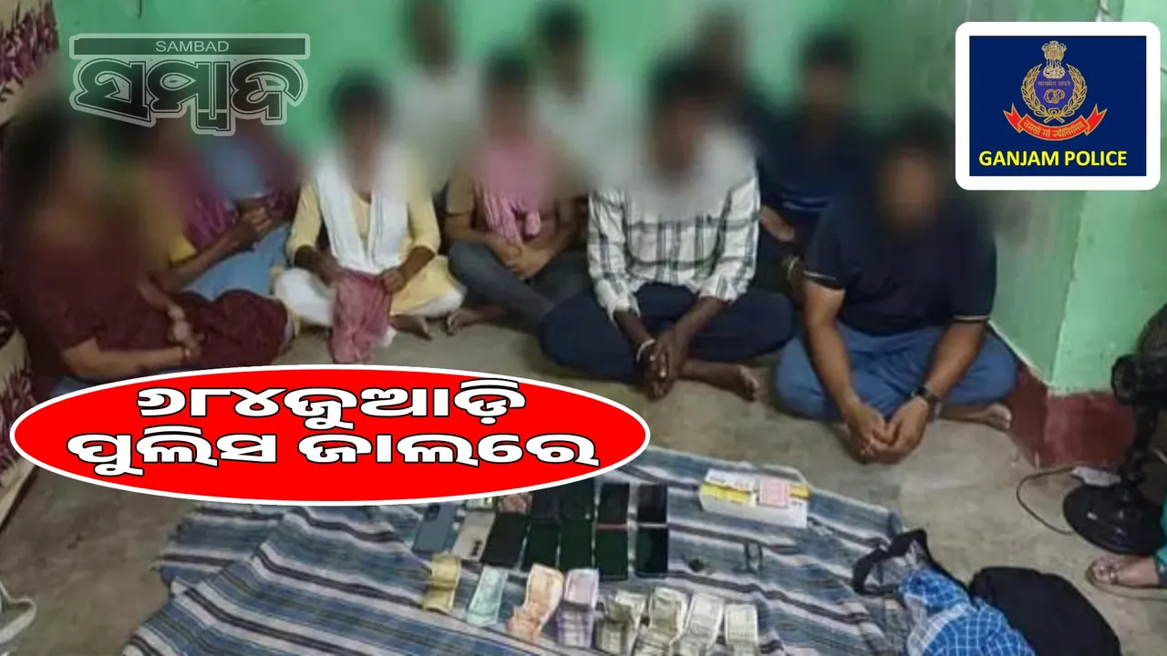  More than 600 gamblers caught by police every month 
