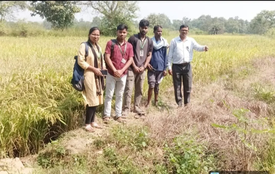  Agriculture officers inspect field in Balishankara of Sundargarh district. (Sambad.in) 