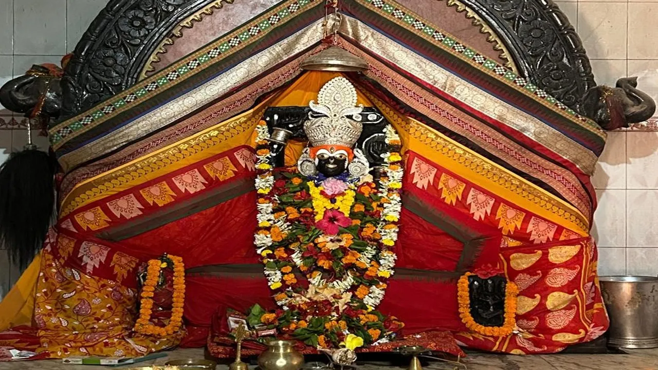  Preparation for Kali Puja in Bhadrak. (sambad.in) 