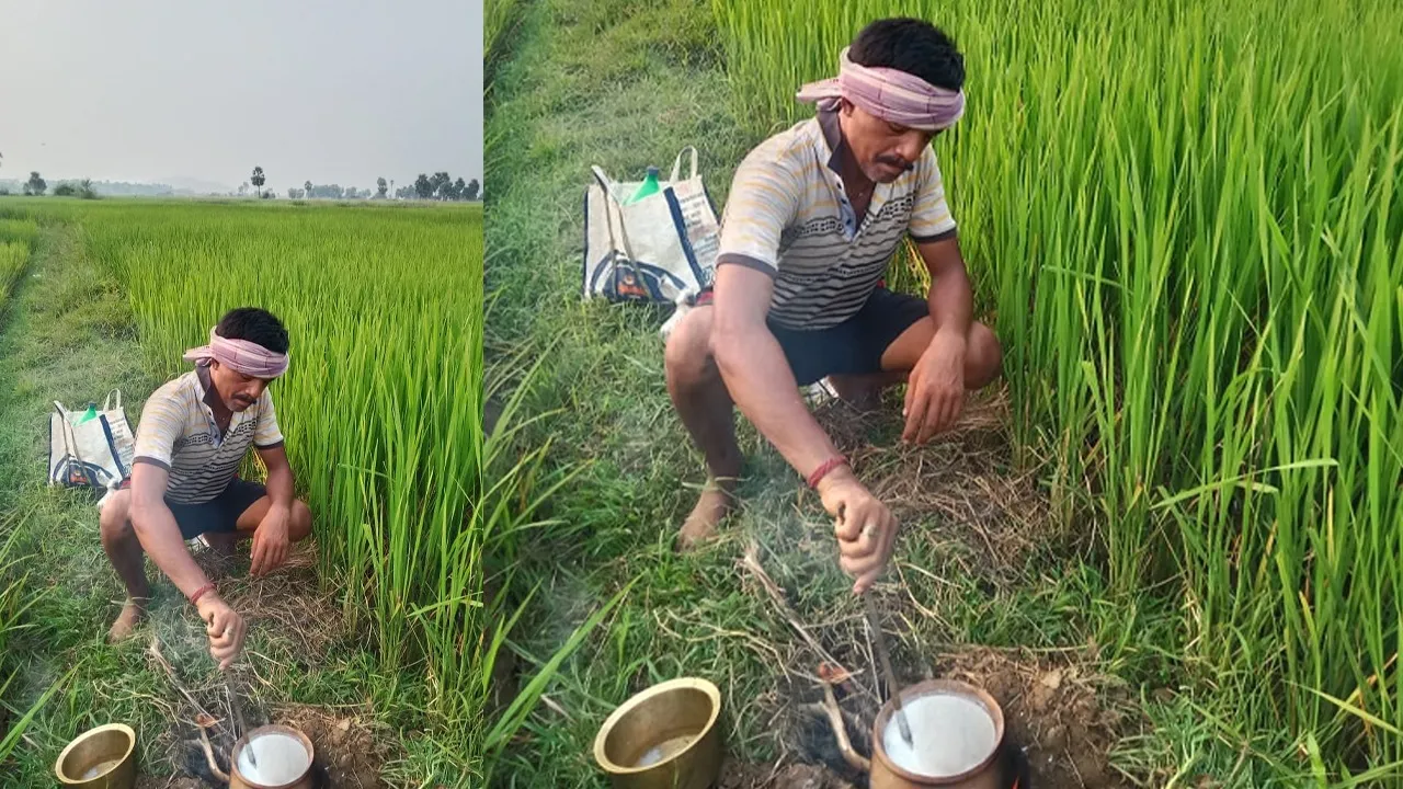  Garbhana Sankranti: ଗର୍ଭଣା ସଂକ୍ରାନ୍ତିରେ ମା' ଲକ୍ଷ୍ମୀଙ୍କ ଉଦେଶ୍ୟରେ ବିଲହୁଡାରେ ଯାଉ ପ୍ରସ୍ତୁତି କଲେ ଚାଷୀ