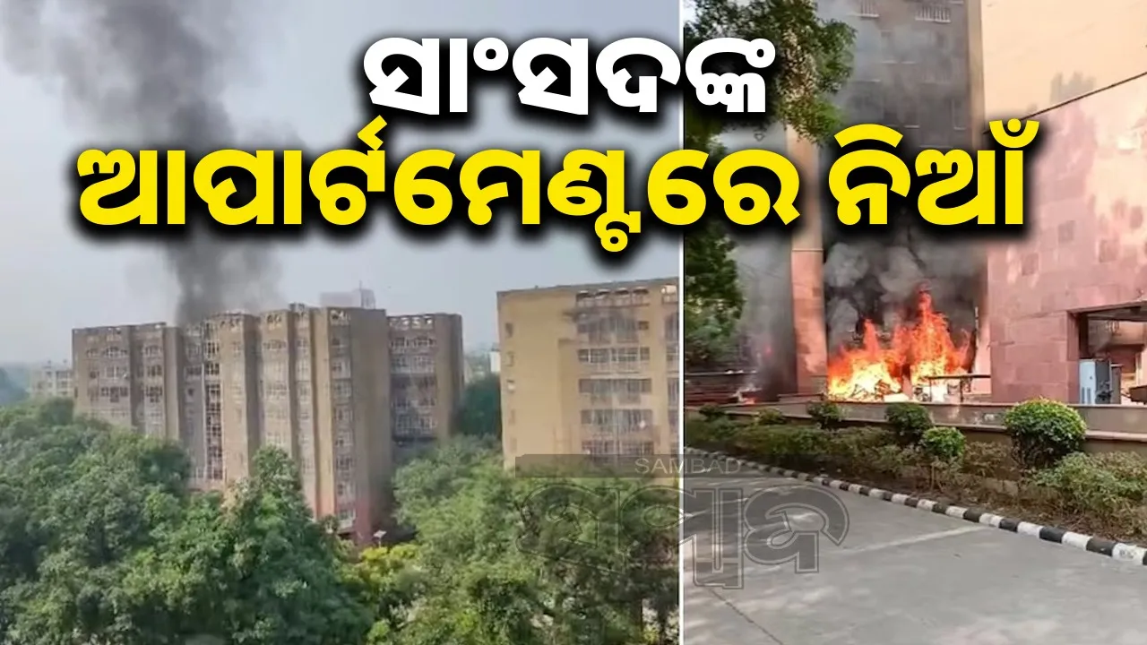  Delhi Brahmaputra Apartments Fire Photograph: (Sambad.in) 