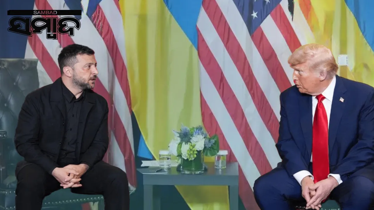  Trump Zelenskyy meet: Zelenskyy lays out conditions for ceasefire talks Photograph: (sambad.in) 