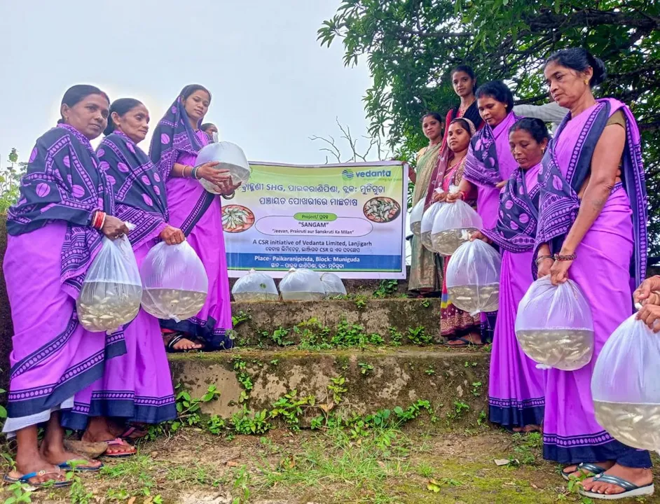 ବେଦାନ୍ତ ଲାଞ୍ଜିଗଡ଼ର ‘ପ୍ରକଳ୍ପ ସଙ୍ଗମ’ରେ ମାଛଚାଷ