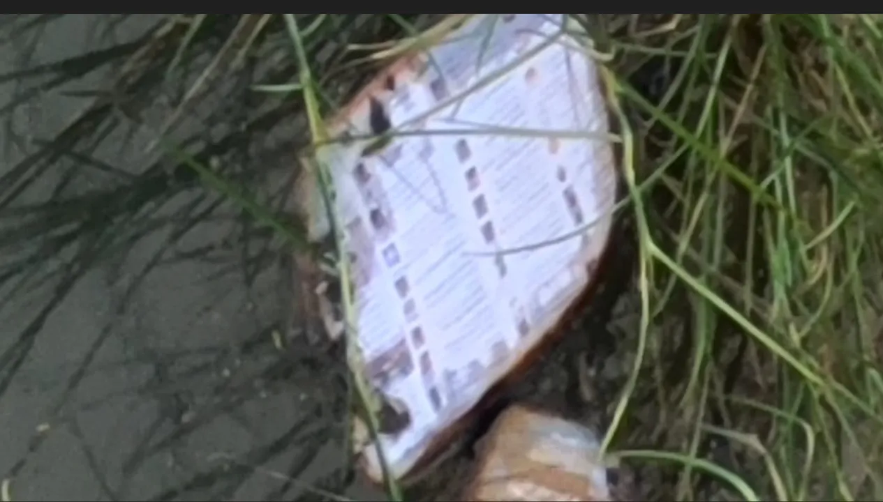  burnt voter list out side former bjp mla house Photograph: (@RaficInamdar) 