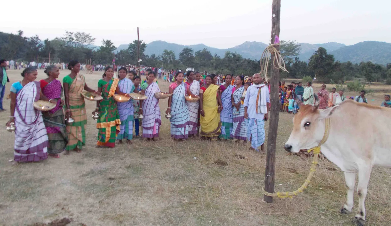  Go khunta festival of Mayurbhanj. Photograph: (sambad.in) 