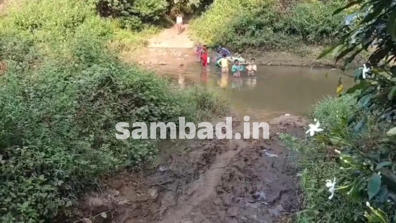  Health and transprt problem in Dasapalla of Nayagarh district. (sambad.in) 