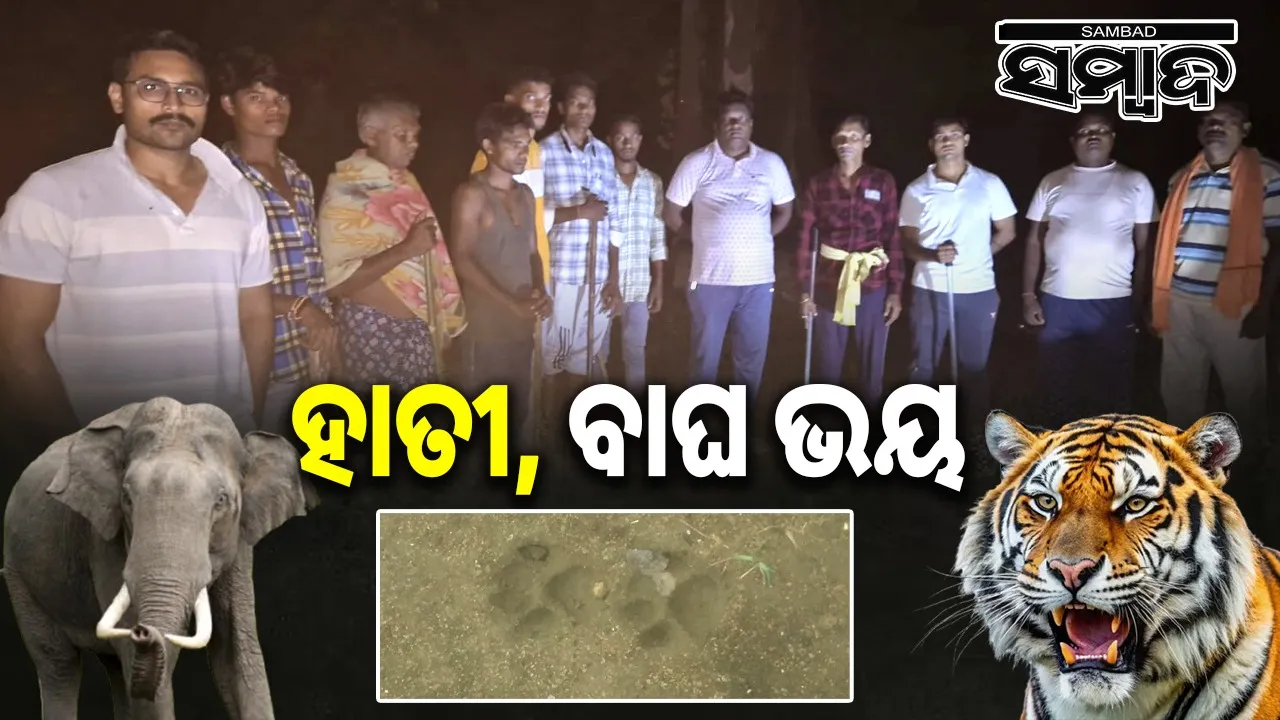  People of near Harishankar forest fear for elephant and leopard. Photograph: (sambad.in) 
