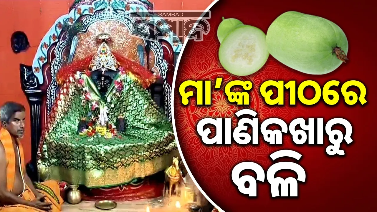  Symbolic ritual offering at Maa Khanduri in Sukinda. Photograph: (sambad.in) 