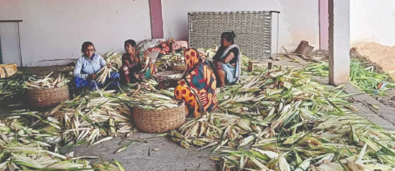  ଗଞ୍ଜାମରେ କିଆଫୁଲର ଅଭାବୀ ବିକ୍ରି