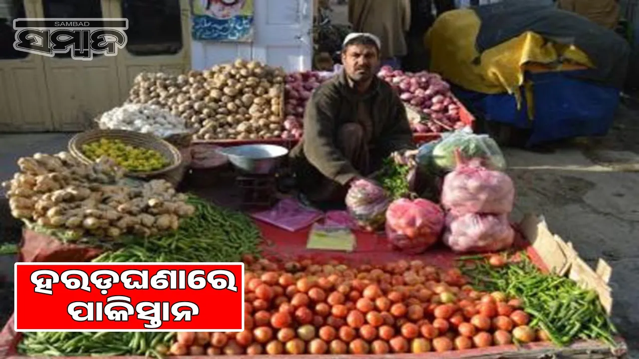  Pakistan market conditions worse: Tomato in Pakistan sells at ₹600 per kg, sells at ₹750 per kg Photograph: (sambad.in) 